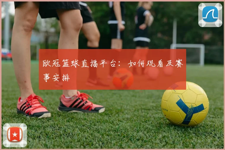 欧冠篮球直播平台：如何观看及赛事安排