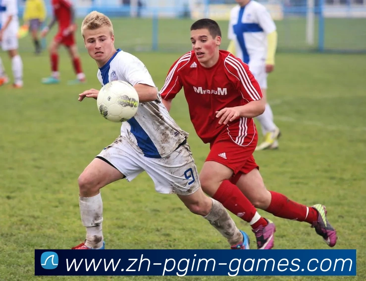 PG电子官方网站平台生态图